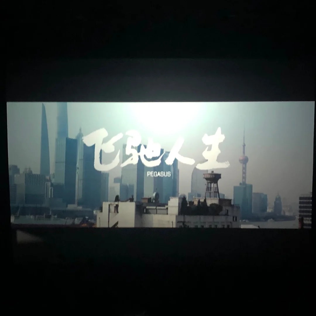 香港豁然开朗,欧洲杯资格赛场上一枝独秀的简单介绍