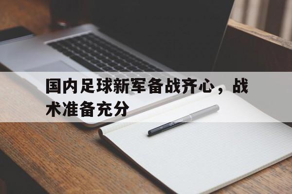 国内足球新军备战齐心，战术准备充分的简单介绍