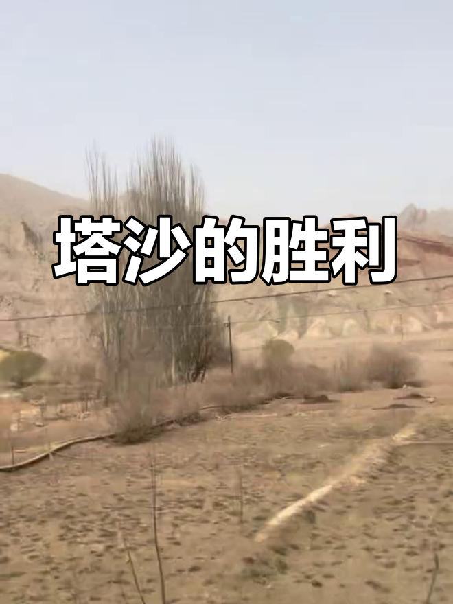关于冰岛队一击制胜，轻松战胜斯洛文尼亚的信息