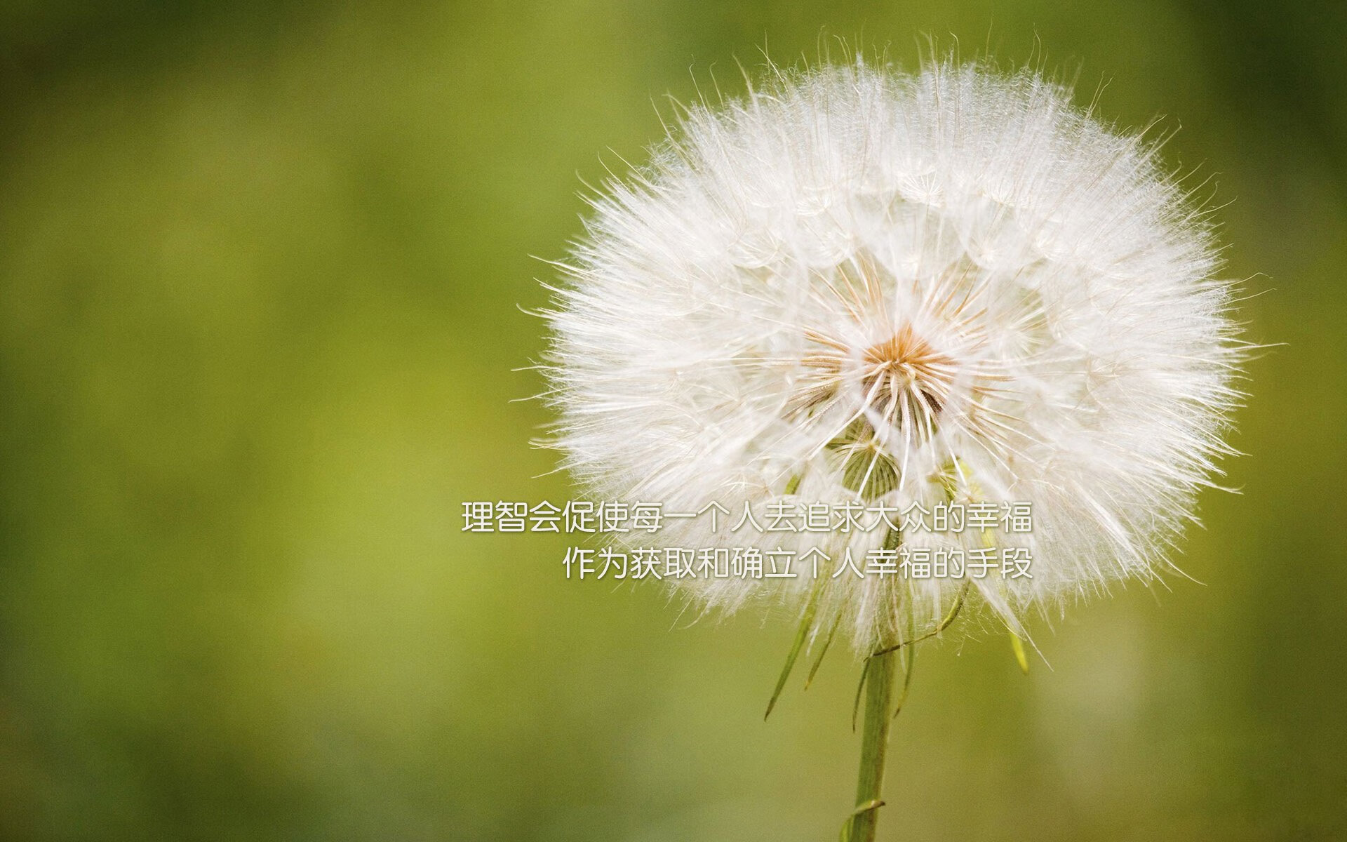 奥纳纳的魔力,关键先生的决胜一射,助尤文从勒沃库森带走胜利