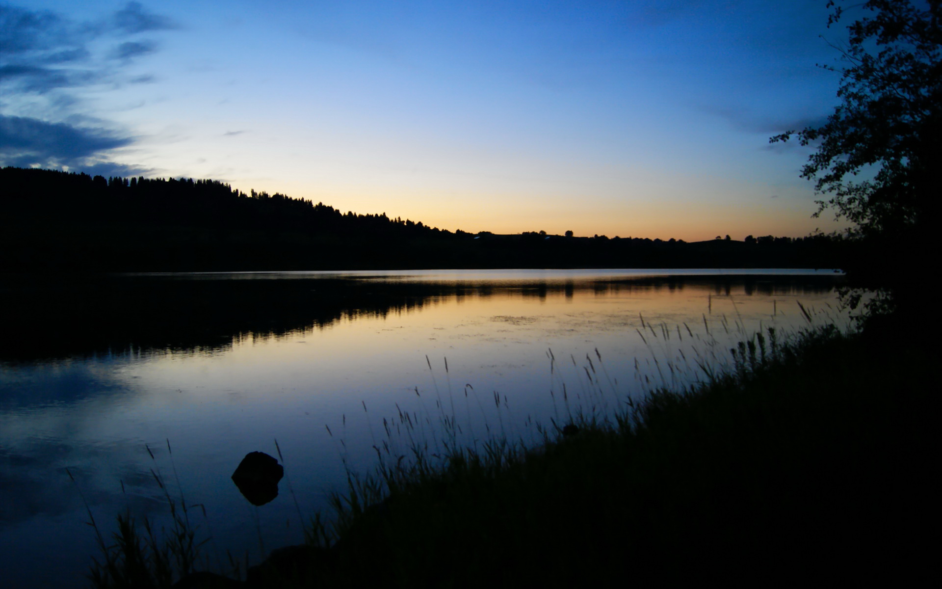 哈利伯顿化身新生代魔术师,绿军防线在他面前黯然失色