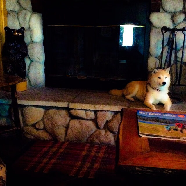 冰火淬炼,铁闸卡瓦哈尔轰出拜仁争冠曙光